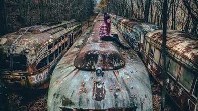 প্রতারিত সাংবাদিক